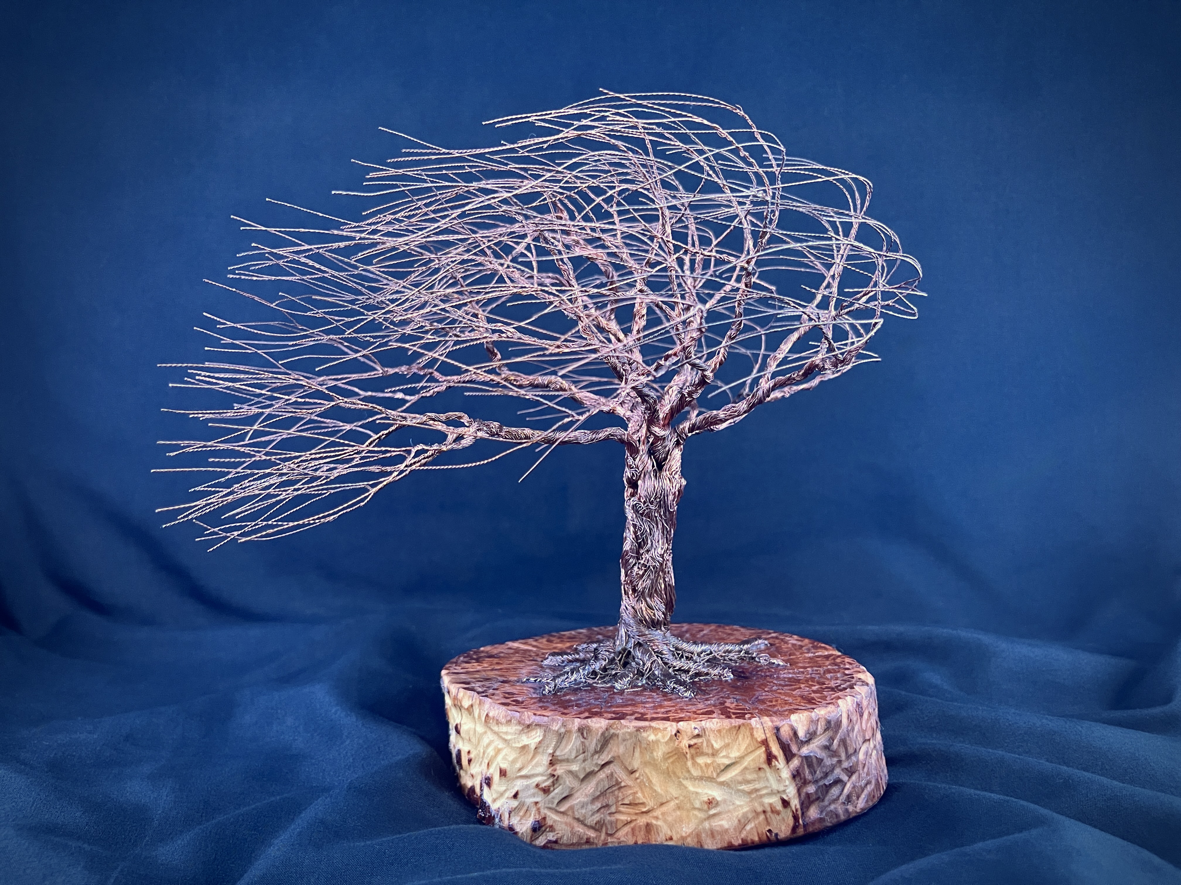 Windswept wire willow on a round wood base against blue